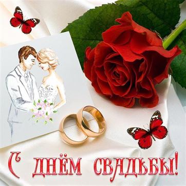 Открытка с Днем свадьбы с розой и кольцами