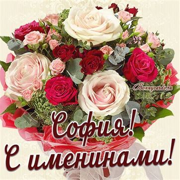 Трогательная открытка с большим букетом роз для Софии на именины