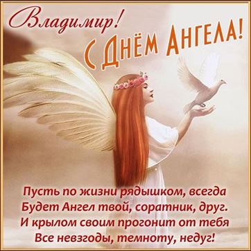 Оригинальная картинка с голубем в руках ангела на именины Владимира