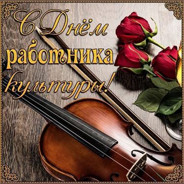 Скрипка и розы на День работника культуры