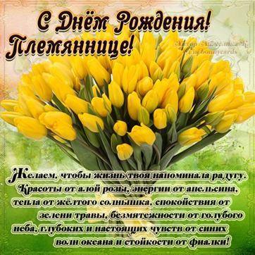 Красивая открытка для племянницы с желтыми тюльпанами