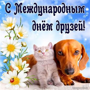 Красивая открытка на День друзей с котенком и собакой