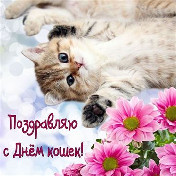 Милая открытка на День кошек с котенком и розовыми цветами