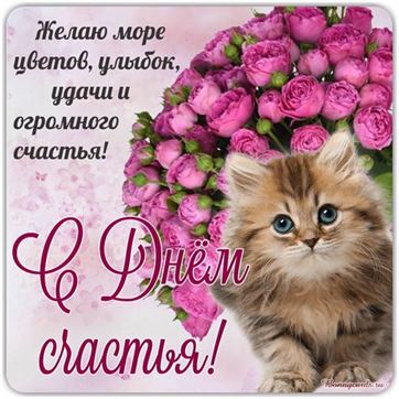 Картинка на День счастья с котенком и розовыми розами