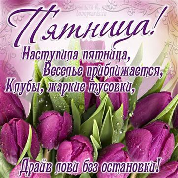 Трогательная открытка на пятницу с розовыми тюльпанами