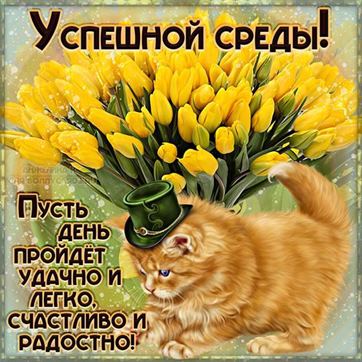 Забавная открытка на среду с котенком и тюльпанами