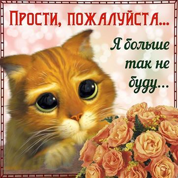 Оригинальная открытка прости с котом из Шрека