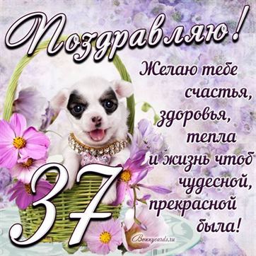 Трогательная открытка с щенком на день рождения 37 летие