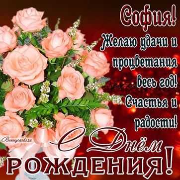 Нежные розовые розы для Софии в День рождения
