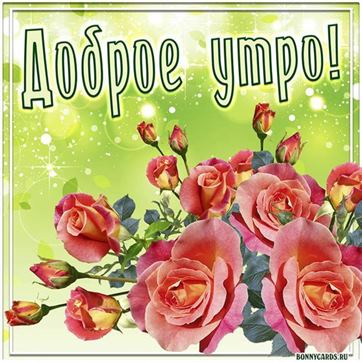 Милая открытка доброе утро с красивыми розами в рамочке