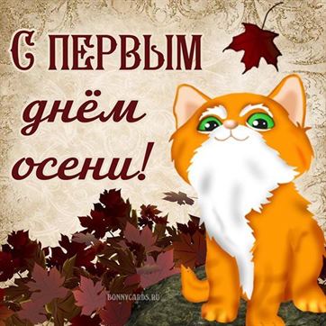 Рыжий кот поздравляет с началом осени