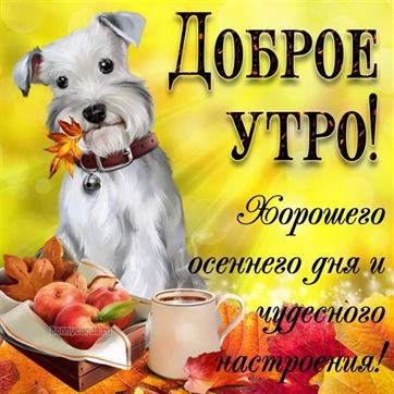 Милая открытка на осень с собачкой