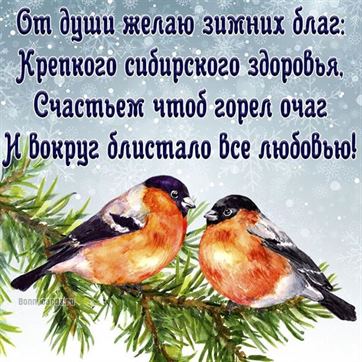 Трогательная открытка на зиму со снегирями