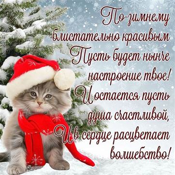Забавная открытка на зиму с котом в шапочке