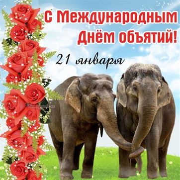 Забавная картинка на День объятий со слонами