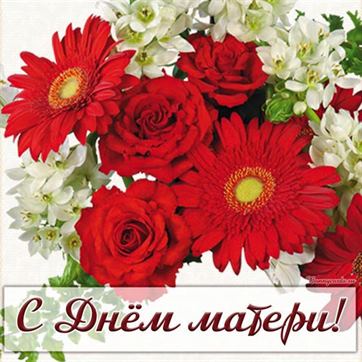 Открытка на День матери с красными цветами