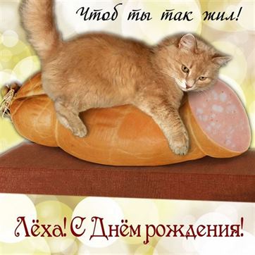 Прикольная открытка с котом на колбасе Алексею