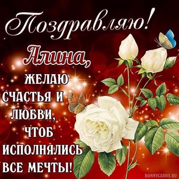 Необычная открытка Алине на День рождения с белой розой