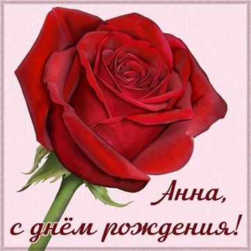 Пышная роза Анне на День рождения