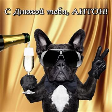 Прикольная открытка с псом на День рождения Антона