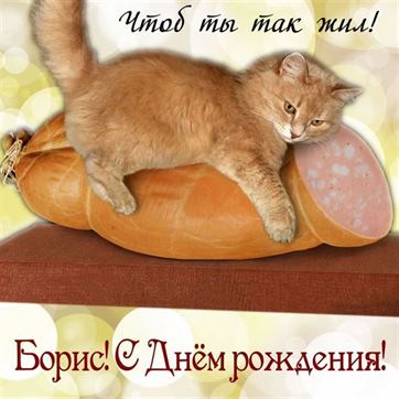 Смешная открытка с котом на колбасе на День рождения Бориса