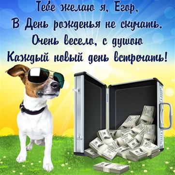 Смешная картинка с собакой на День рождения Егору