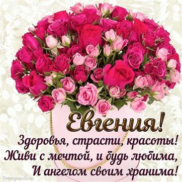 Шикарный букет роз на День рождения Евгении