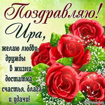 Поздравление Ире на День рождения на фоне красных роз