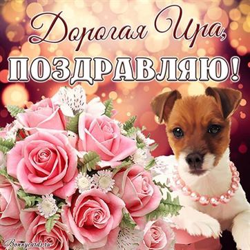 Забавная открытка с поздравлением дорогой Ире с розами и собакой