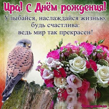 Оригинальная картинка с птичкой и цветочками Ире на День рождения