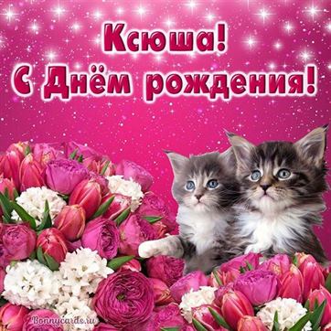 Картинка с котами и тюльпанами Ксюше на День рождения
