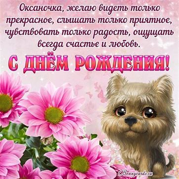 С Днём рождения Оксане с собачкой и розовыми цветами