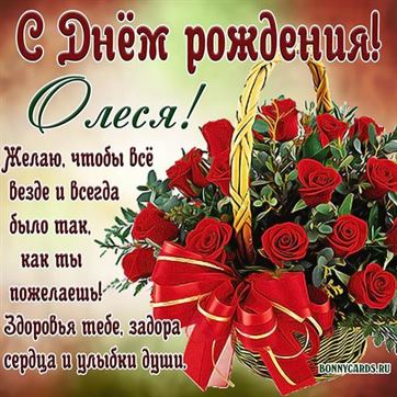 Красивая открытка с Днём рождения Олесе с корзиной роз