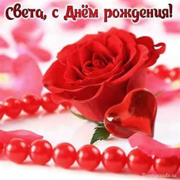 Красивая открытка с розой и сердечком на День рождения Свете