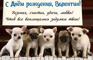 Прикольная открытка с щенками на пианино на День рождения Валентина