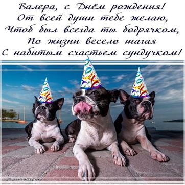 Прикольная открытка с собаками на День рождения Валерия