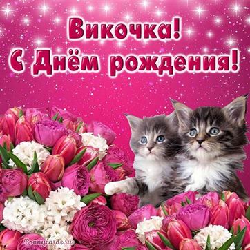 Трогательная открытка с котятами на День рождения Вики