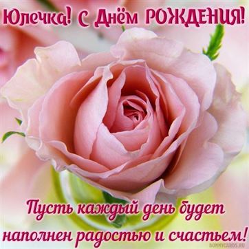 Открытка с большой розовой розой на День рождения Юлии