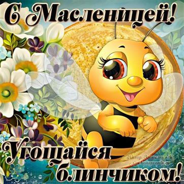 Прикольная открытка с пчелой на Масленицу