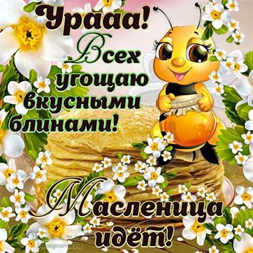 Креативная картинка на Масленицу с пчелой и блинами