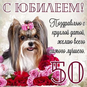 Смешная открытка на юбилей 50 лет с собачкой