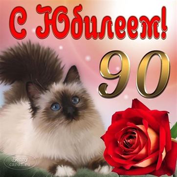 Милая открытка с котиком на 90 лет